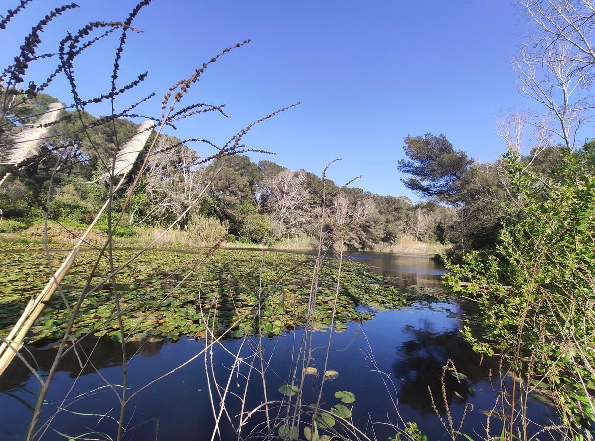 Domaine De La Coudouliere, Vue Mer, Plage, Piscine Et Parc Six-Fours-les-Plages Buitenkant foto