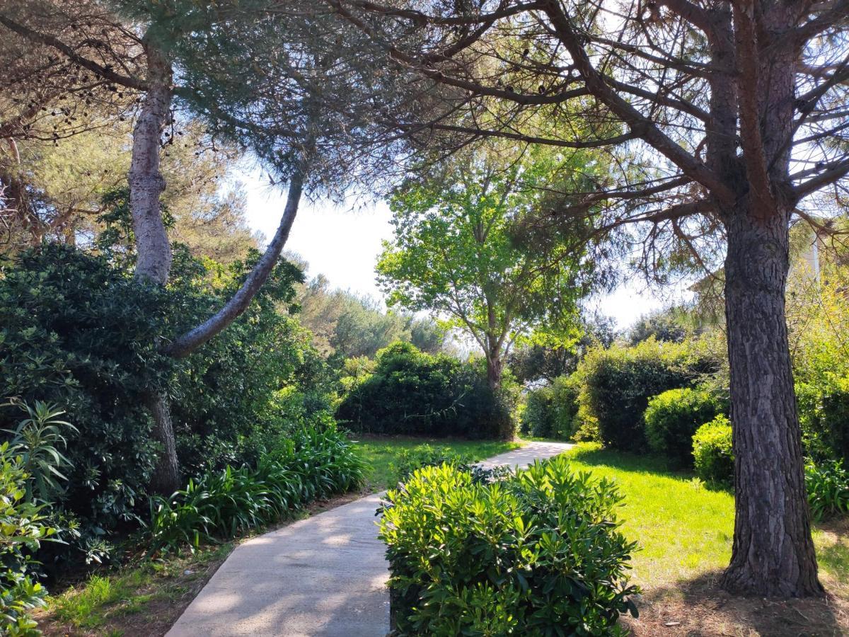 Domaine De La Coudouliere, Vue Mer, Plage, Piscine Et Parc Six-Fours-les-Plages Buitenkant foto
